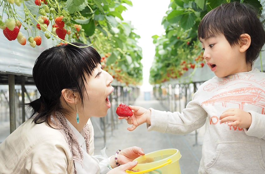 家族で取り組むことが大切です